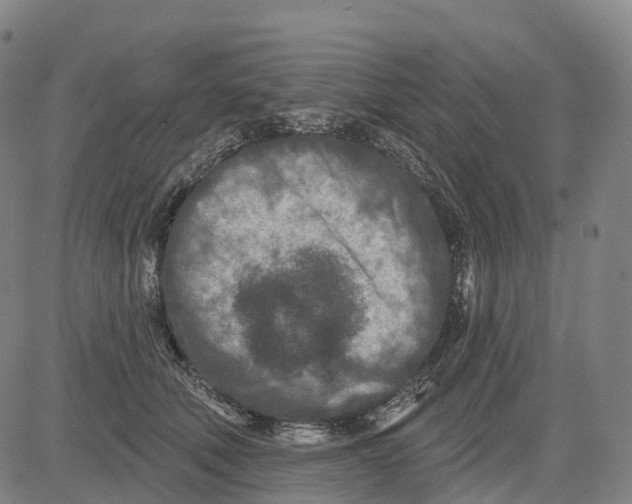 X0000081420610200702021629