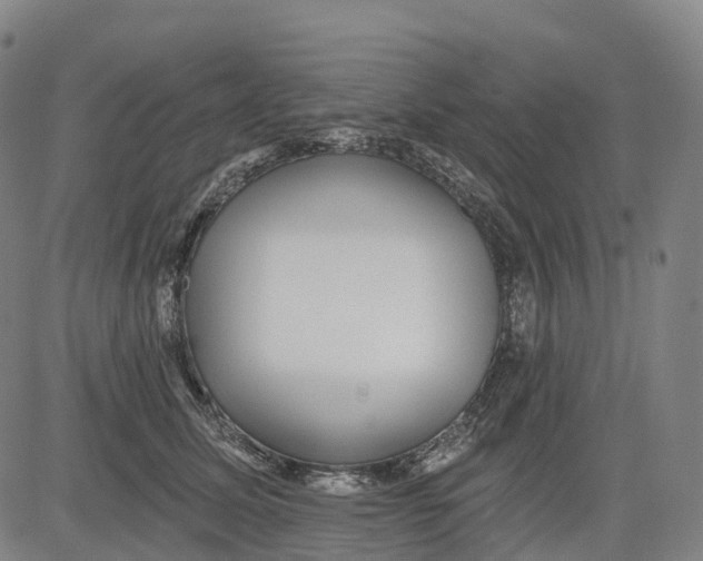 X0000081420611200702021629