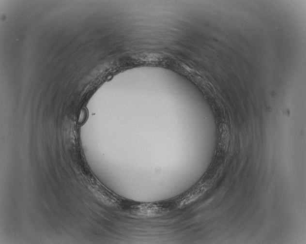 X0000081420612200702021629