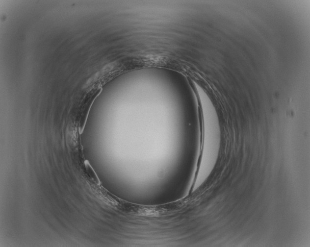 X0000081420613200702021629