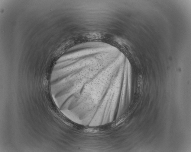 X0000081420614200702021629