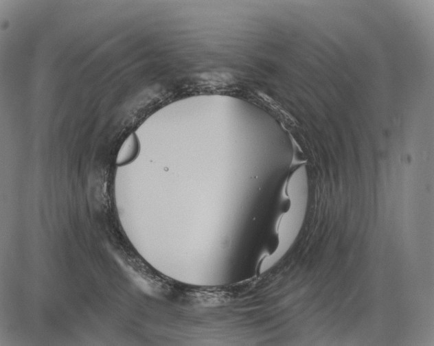 X0000081420615200702021629