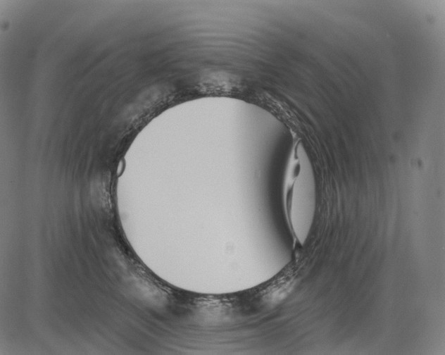 X0000081420616200702021629