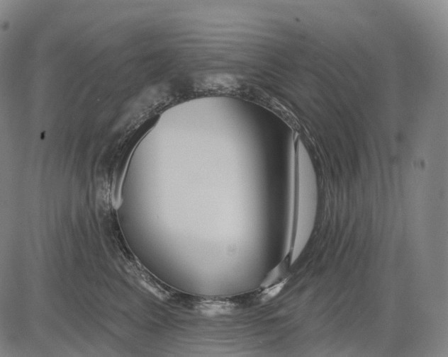 X0000081420617200702021629