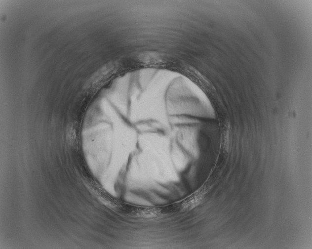 X0000081420618200702021629