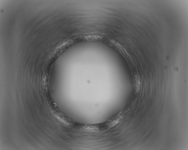 X0000081420619200702021629