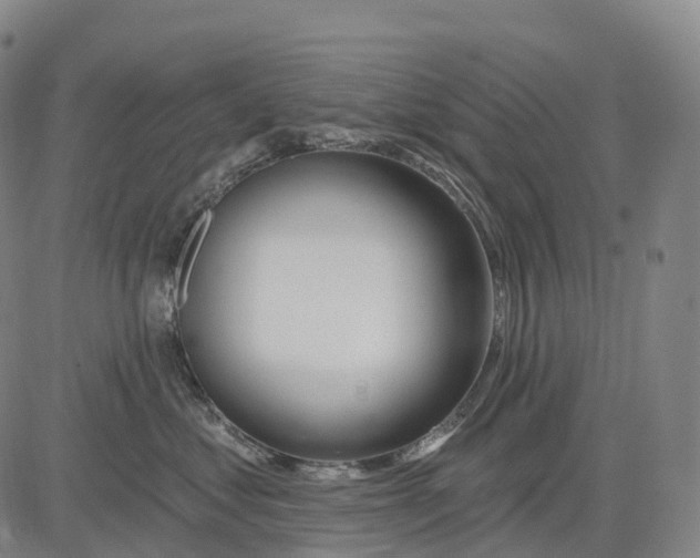 X0000081420621200702021629