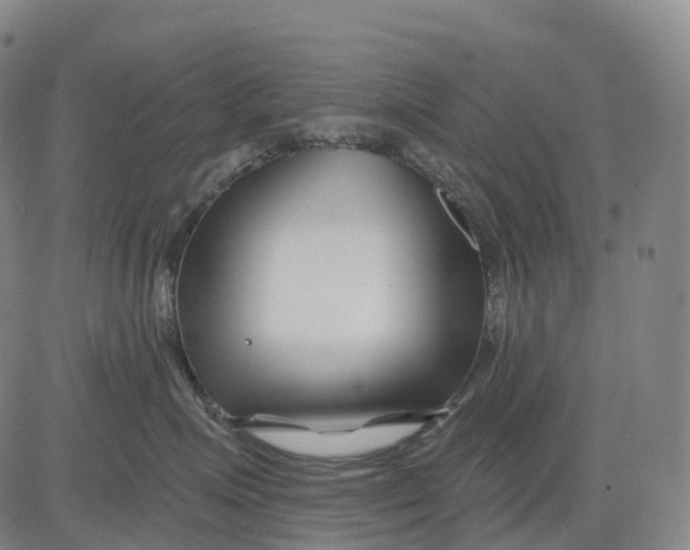 X0000081420623200702021629