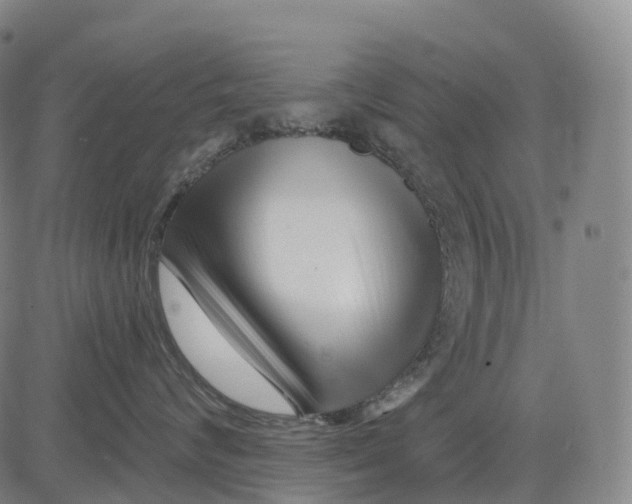 X0000081420624200702021629