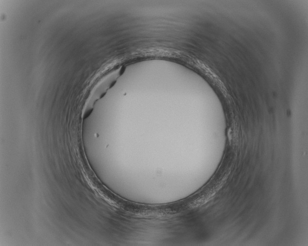 X0000081420625200702021628