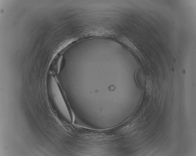 X0000081420626200702021628