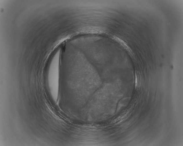 X0000081420627200702021628