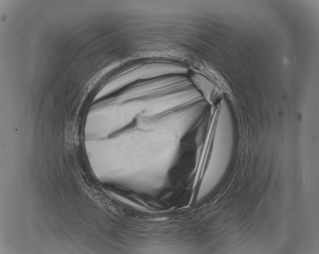 X0000081420628200702021628