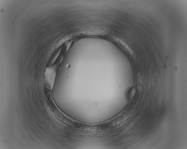 X0000081420631200702021628