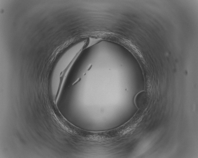 X0000081420633200702021628