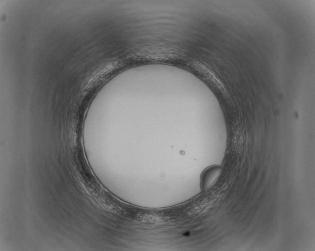 X0000081420635200702021628