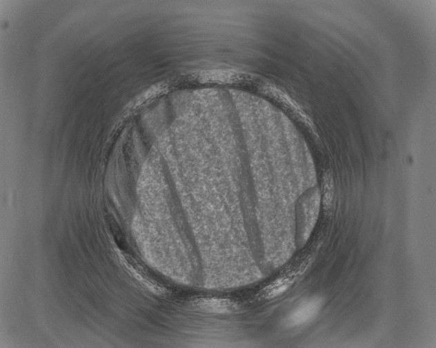 X0000081420637200702021628