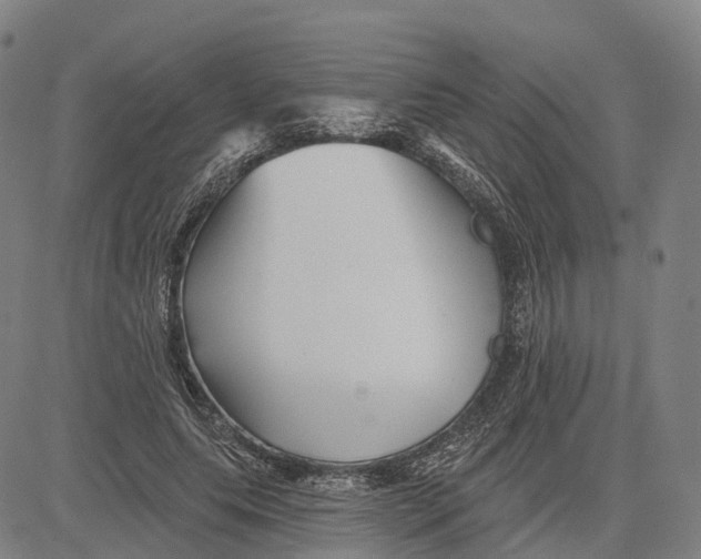 X0000081420639200702021628