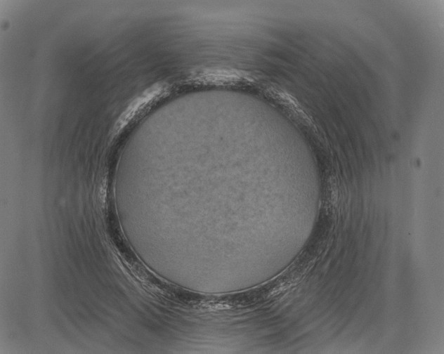 X0000081420640200702021628