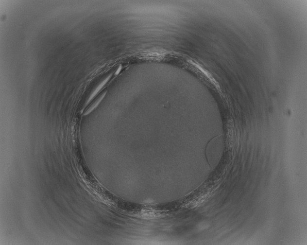 X0000081420641200702021628