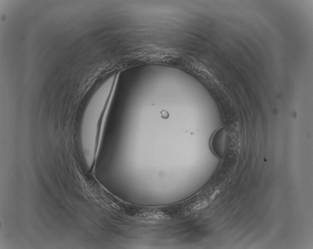 X0000081420642200702021628