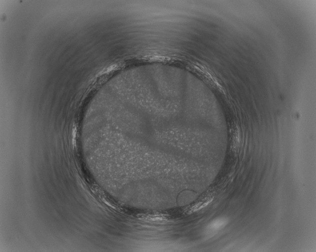 X0000081420643200702021628