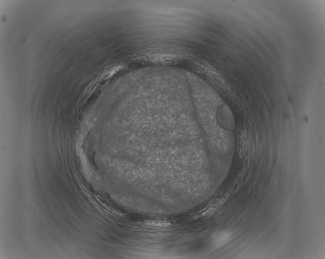 X0000081420644200702021628