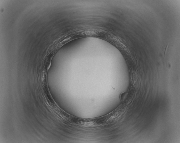 X0000081420645200702021628