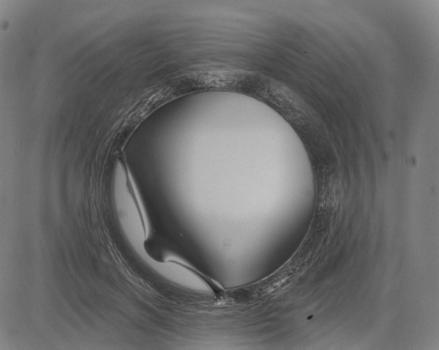 X0000081420646200702021628