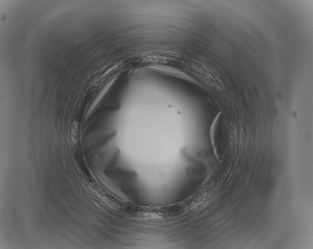 X0000081420649200702021628