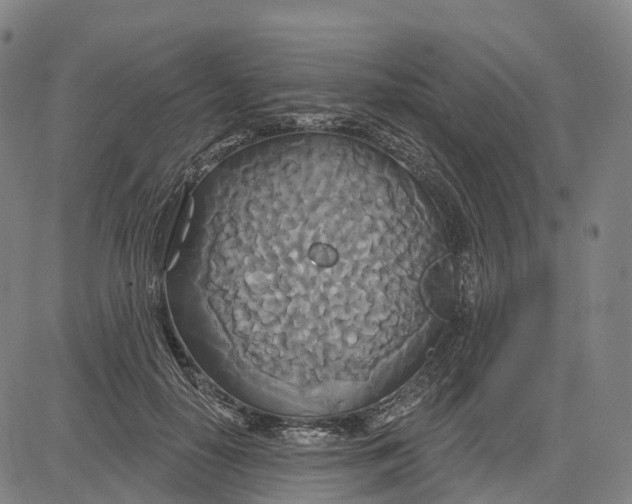 X0000081420650200702021628