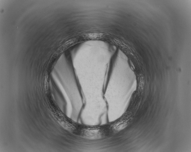 X0000081420651200702021628