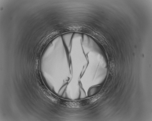 X0000081420652200702021628