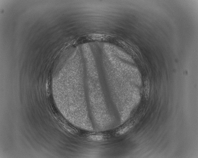 X0000081420653200702021628