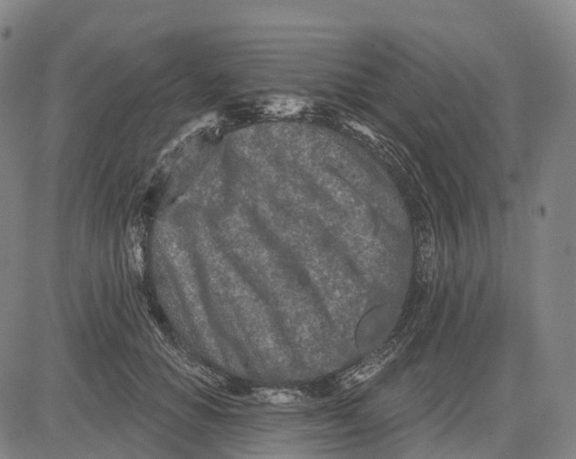 X0000081420654200702021628