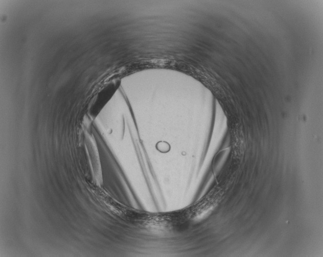 X0000081420656200702021629