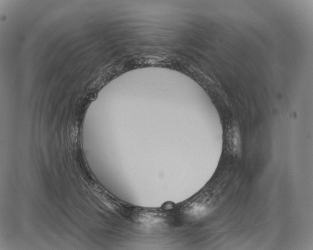 X0000081420657200702021629