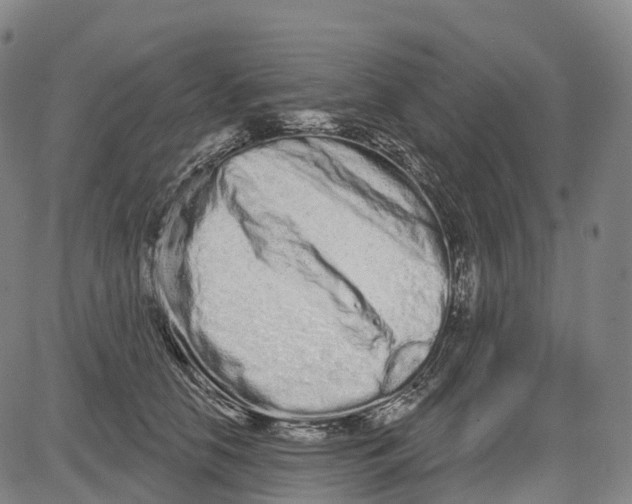 X0000081420658200702021629