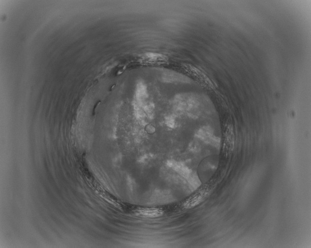 X0000081420659200702021629