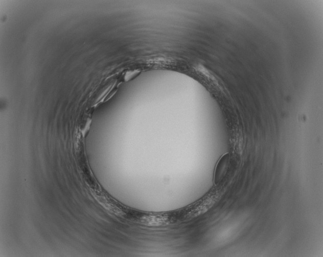 X0000081420660200702021629