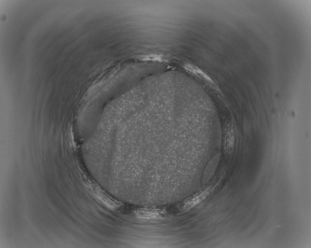 X0000081420661200702021629