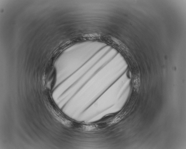 X0000081420662200702021629