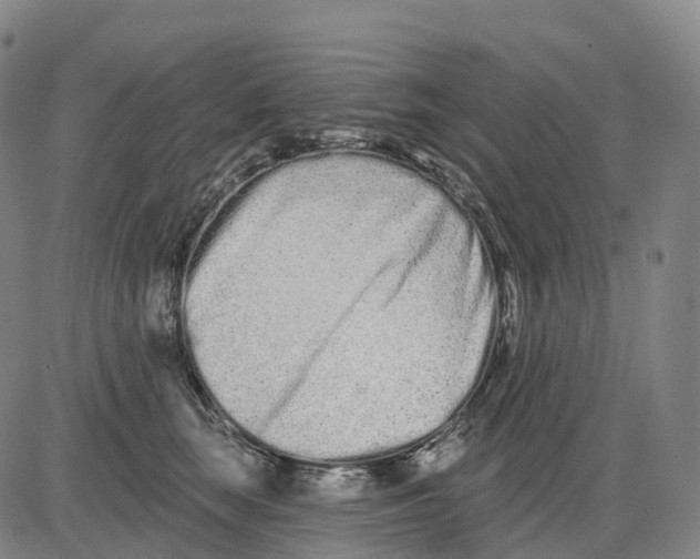 X0000081420663200702021629