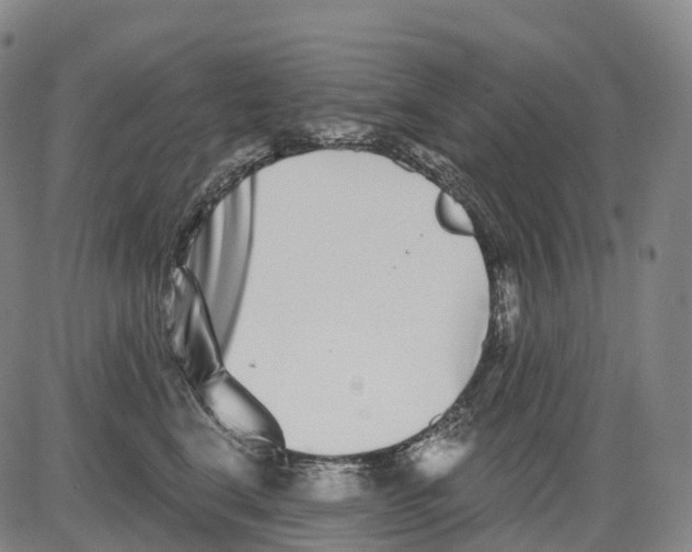 X0000081420664200702021629