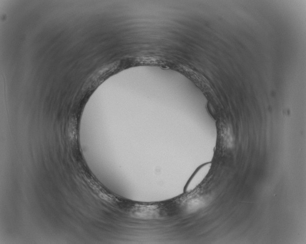 X0000081420665200702021629