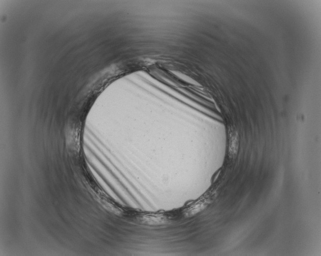 X0000081420666200702021629