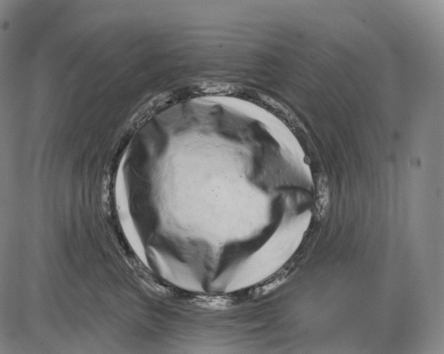 X0000081420667200702021629