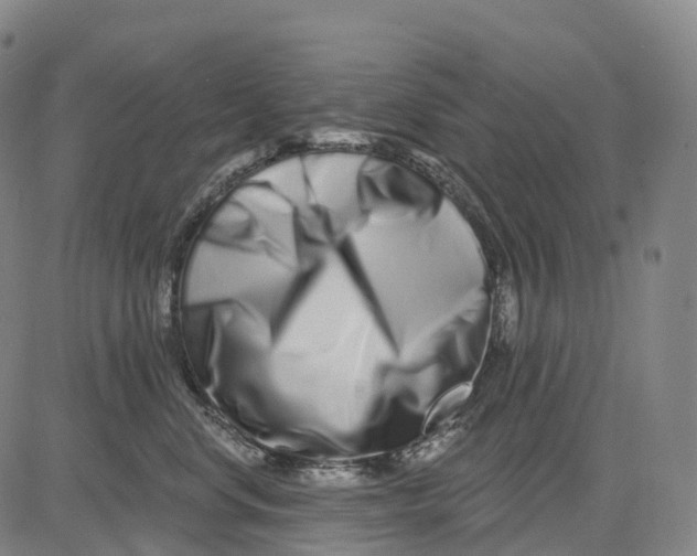 X0000081420668200702021629