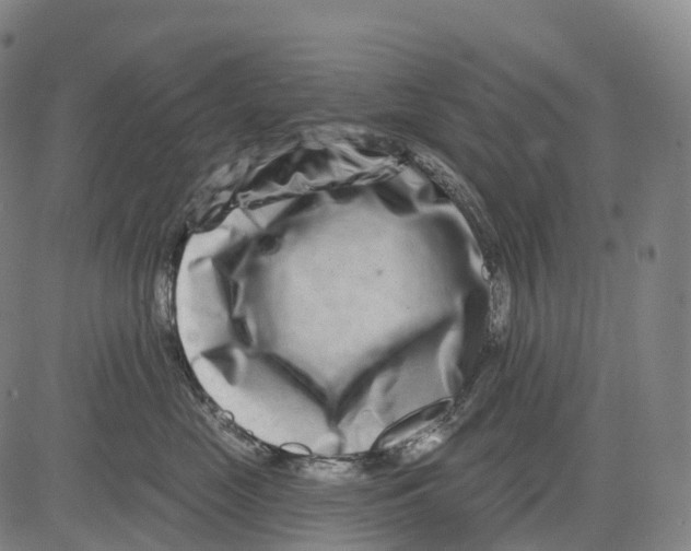 X0000081420669200702021629