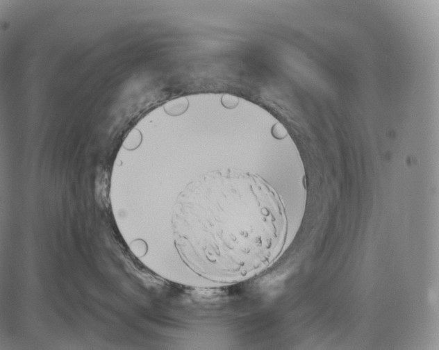 X0000081420672200702021629